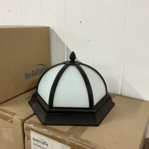 Seagull Lighting Outdoor Flush Mount Light